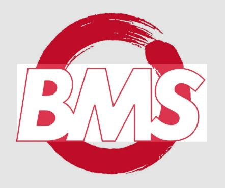 BMS Mobilya